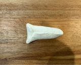 冷冻面团之二 👉 脆 & 软海盐卷（冷冻后整形更方便）的食譜步驟11照片