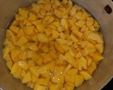A picture of step 1 of Potatoe chicken soup.