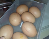 Foto del paso 3 de la receta: Porra Antequerana