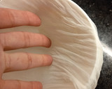 Foto del paso 1 de la receta: Queso untable saborizado de Kéfir