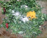 কলমি রসুন ভাজি(Kalmi rasun vaji recipe in Bengali) রেসিপির ধাপ 3 ছবি
