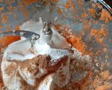 A picture of step 1 of Carrot Cake Without Flour and Sugar.