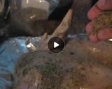 Foto del paso 4 de la receta: Pavo con sazón 🧄
