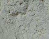 صورة لخطوة 1 من وصفة خبز بانيني