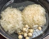 Foto langkah ke 1 dari resep Cheng Teng(Sekoteng Singapore).