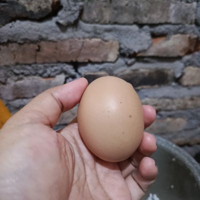 Langkah 1