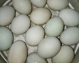 Foto langkah ke 2 dari resep Telur Asin Bawang Putih Home Made #Dandelion.