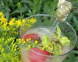 A picture of step 2 of Watermelon pear punch.