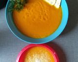 Foto del passaggio 3 della ricetta Crema di zucca facile facile