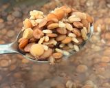 Foto del paso 3 de la receta: 🫘 🍚 Lentejón con Arroz Yamaní y Vegetales🥕