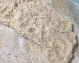 Foto del paso 5 de la receta: Pan lactal 100% integral