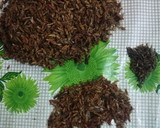 Foto del paso 1 de la receta: Chapulines con ajo y limón