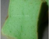 Foto langkah ke 7 dari resep Chiffon Pandan Putih Telur (#pr_AnekaChiffon).