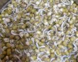 Little Millet Khichdi with Vegetables & Moong Sprouts ---- A Wholesome Platter