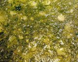 Foto del paso 2 de la receta Ventresca de Bonito al horno