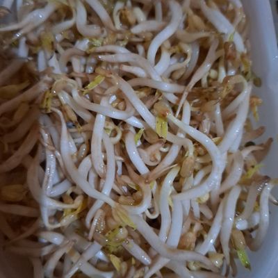 Langkah 1