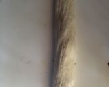 Foto del paso 10 de la receta: Pan Baguette