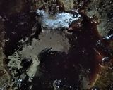 Foto langkah ke 4 dari resep Ikan Nila Bakar Pedas Manis.