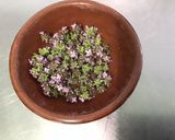 Une image de l'étape 5 de Salade de coeurs d'artichauts aux tomates, concombre et fleurs de thym.