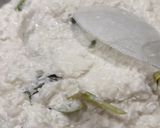 A picture of step 2 of Lemper Ayam - Steamed Glutinous Rice with Spiced Chicken Floss.