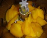 Foto langkah ke 1 dari resep Mango Gelato.
