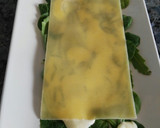 Foto del paso 13 de la receta: Lasaña fría vegetal con mayonesa de mango