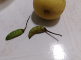 Asinan Rambutan Simple