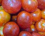 صورة لخطوة 1 من وصفة مونة البندورة🍅