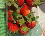 Foto del passaggio 1 della ricetta Torta fra-golosa 😋🍓🥰🎂🍰