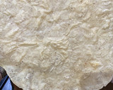 Foto del paso 2 de la receta: Tlayuda (o tlayudita 😂)