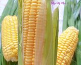 Hình bước làm 1 của món Chè Bắp