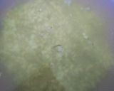 Foto langkah ke 1 dari resep 57. Susu kedelai.
