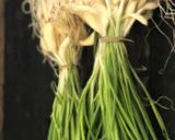 લીલા લસણ ની ચટણી (Green Garlic Chutney Recipe In Gujarati) રેસીપી સ્ટેપ1ફોટો
