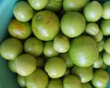 Savanyított zöld paradicsom télire 🍅🍅🍅 recept fázis 1 fotója