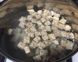 Foto langkah ke 3 dari resep Lodeh Tahu Tempe.