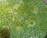 Foto del paso 1 de la receta: Mole verde!!