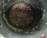 மிளகு சாதம், pepper rice ரெசிபி ஸ்டேப் 1 புகைப்படம்
