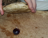 Foto del paso 3 de la receta: Aceitunas al estilo campo real (la recolección)