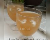Foto langkah ke 3 dari resep Sirup Kulit & Biji Buah Mangga.