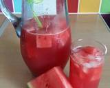 Vickys Watermelon Cooler, GF DF EF SF NF recipe step 4 photo