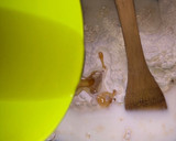 A picture of step 4 of Challa bread.