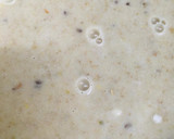 Foto del paso 2 de la receta: Budín de pan integral