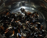 Foto del paso 1 de la receta: Mejillones al vapor