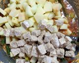 Foto langkah ke 5 dari resep 1005. Lodeh Pepaya Resep Ibu.