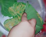 A picture of step 2 of Gram flour Colocasia leave curry.