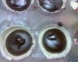 Foto del paso 4 de la receta: Chocolates rellenos