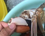 Hình bước làm 11 của món Bánh canh cua và cách làm sợi bánh canh từ bột lọc