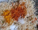 A picture of step 2 of Vermicelli / Semiya Upma.
