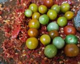 Foto langkah ke 2 dari resep Sambal Dadakan Tomat Rampai.
