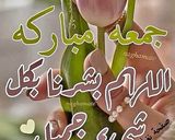 صورة لخطوة 10 من وصفة حلى بسكويت الشوكولاته بالكريمة